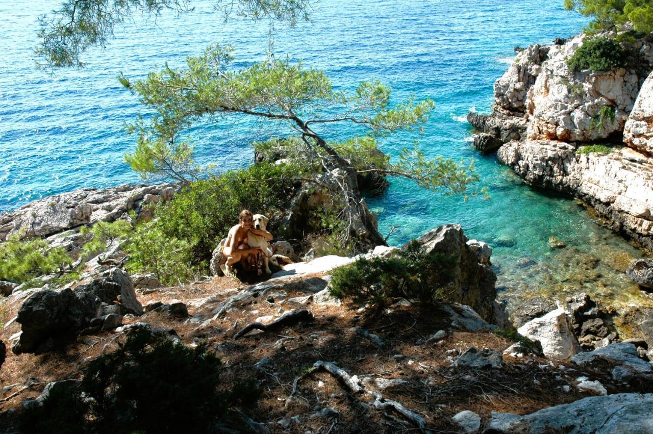 Апартаменты Casa Naranja Croatia Вела-Лука Экстерьер фото