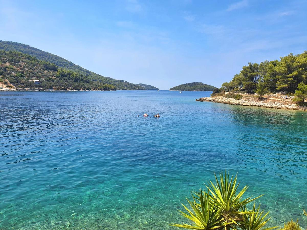 Апартаменты Casa Naranja Croatia Вела-Лука Экстерьер фото
